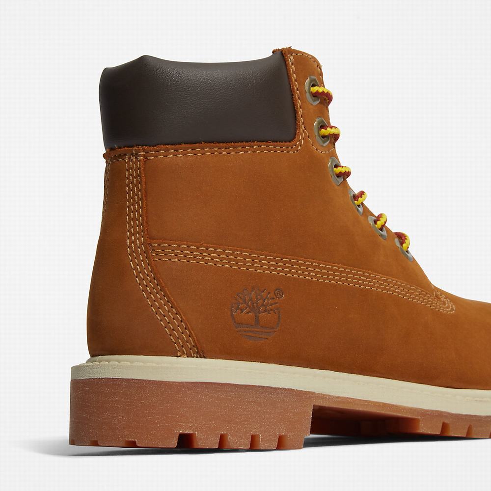 Cizmy Timberland Premium 6 Inch Detske Hnede | HZ7681349