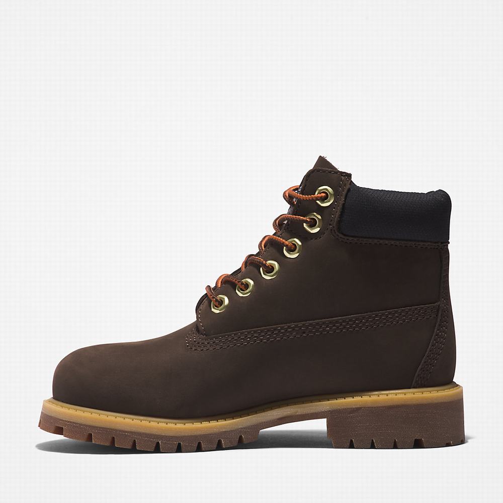 Cizmy Timberland Premium 6 Inch Detske Tmavo Hnede | GK5781394