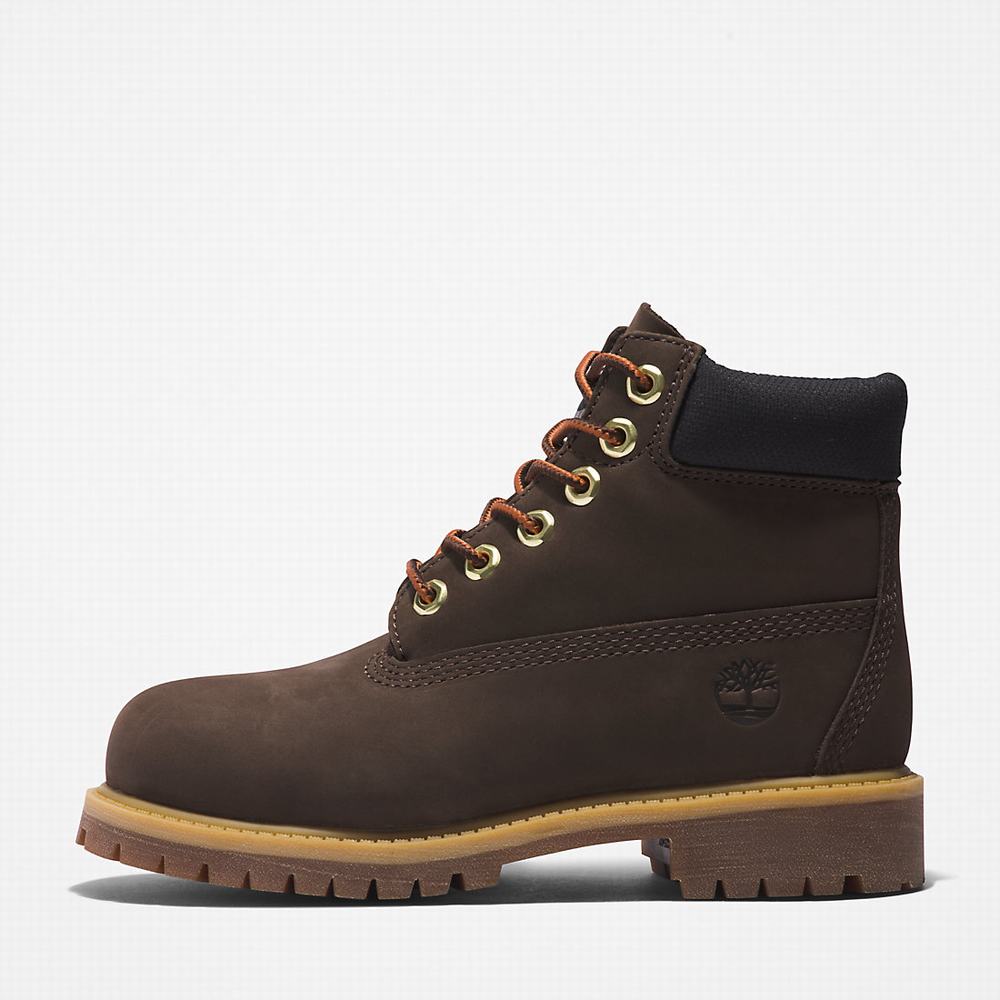 Cizmy Timberland Premium 6 Inch Detske Tmavo Hnede | GK5781394