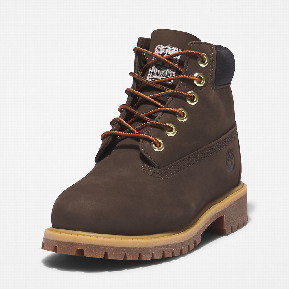 Cizmy Timberland Premium 6 Inch Detske Tmavo Hnede | GK5781394