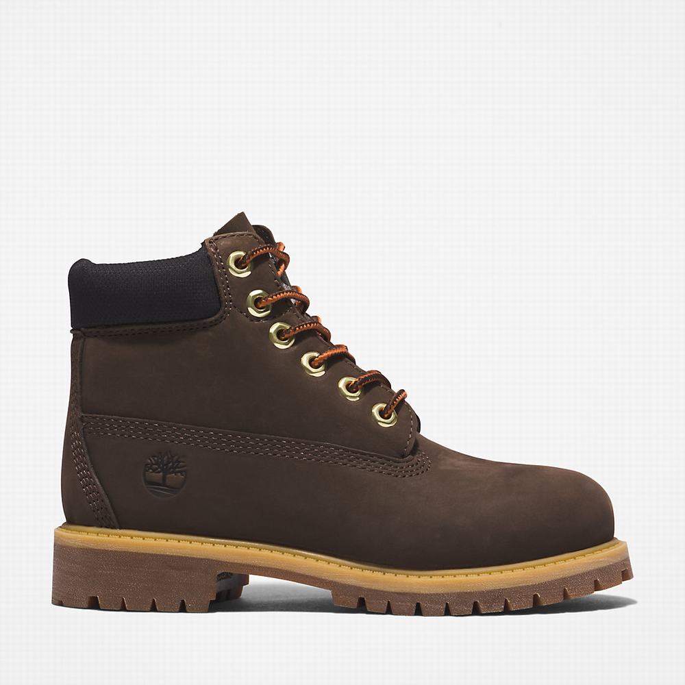 Cizmy Timberland Premium 6 Inch Detske Tmavo Hnede | GK5781394