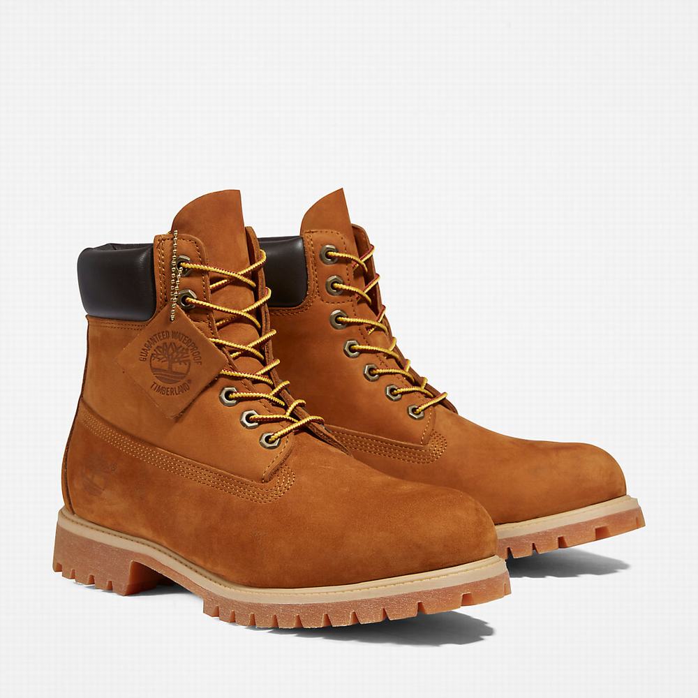 Cizmy Timberland Premium 6 Inch Panske Hnede | QY0347652