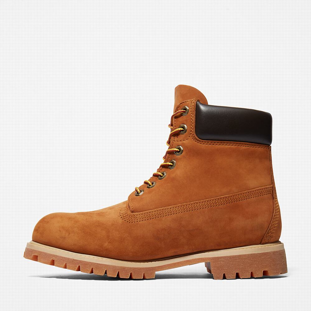 Cizmy Timberland Premium 6 Inch Panske Hnede | QY0347652