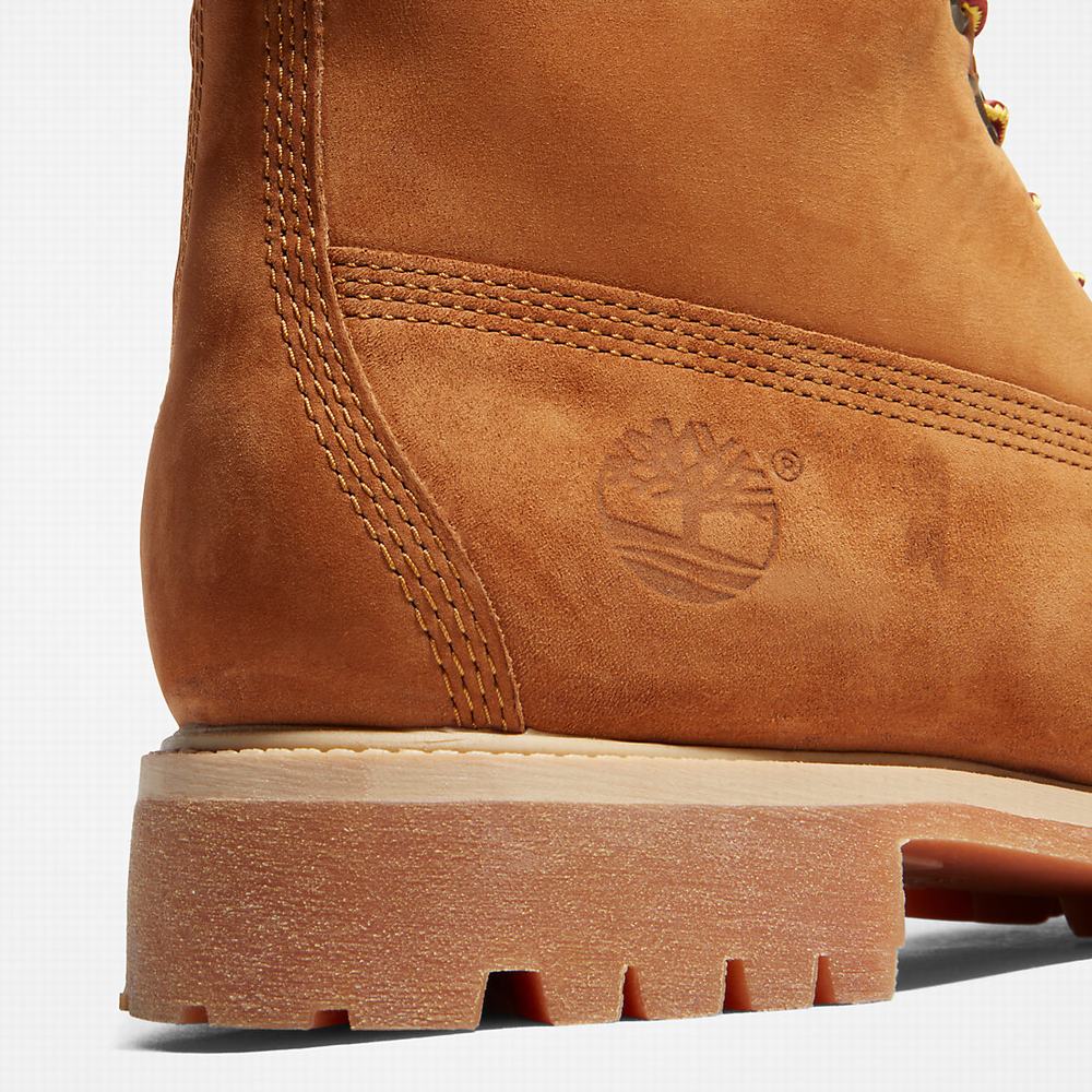 Cizmy Timberland Premium 6 Inch Panske Hnede | QY0347652