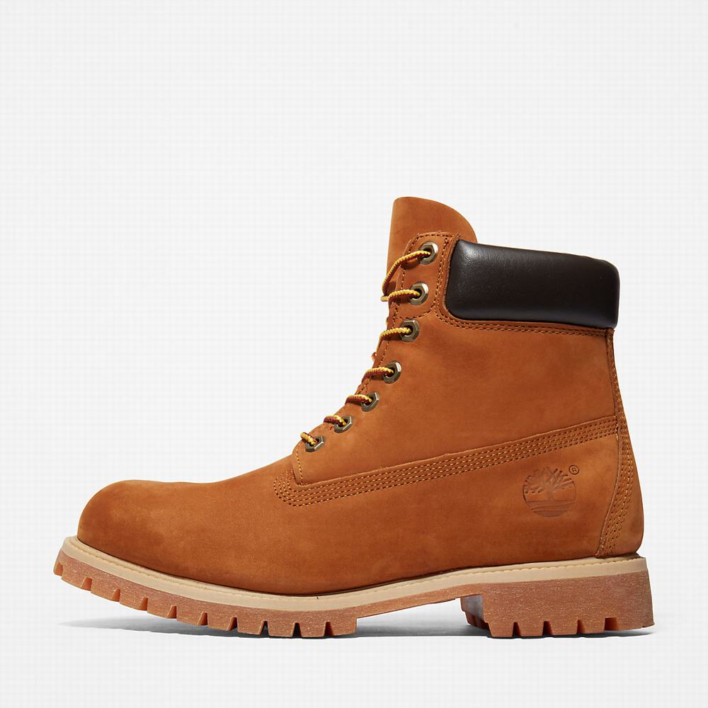 Cizmy Timberland Premium 6 Inch Panske Hnede | QY0347652