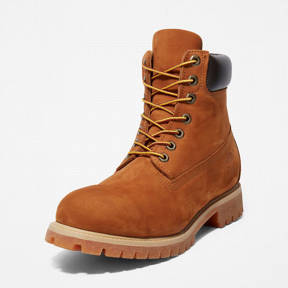 Cizmy Timberland Premium 6 Inch Panske Hnede | QY0347652