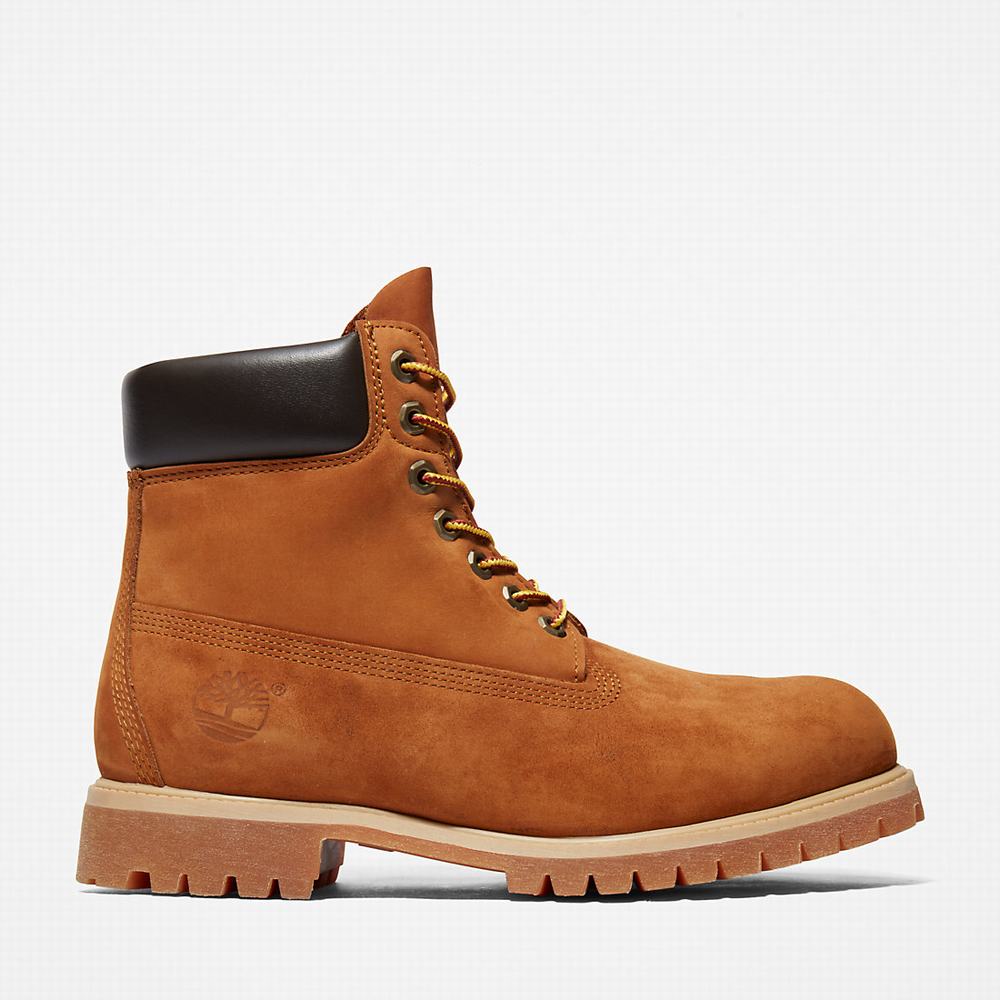 Cizmy Timberland Premium 6 Inch Panske Hnede | QY0347652