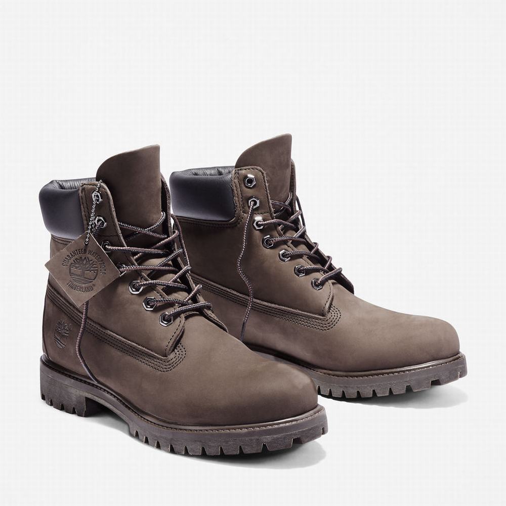 Cizmy Timberland Premium 6 Inch Panske Hnede | TI2591087