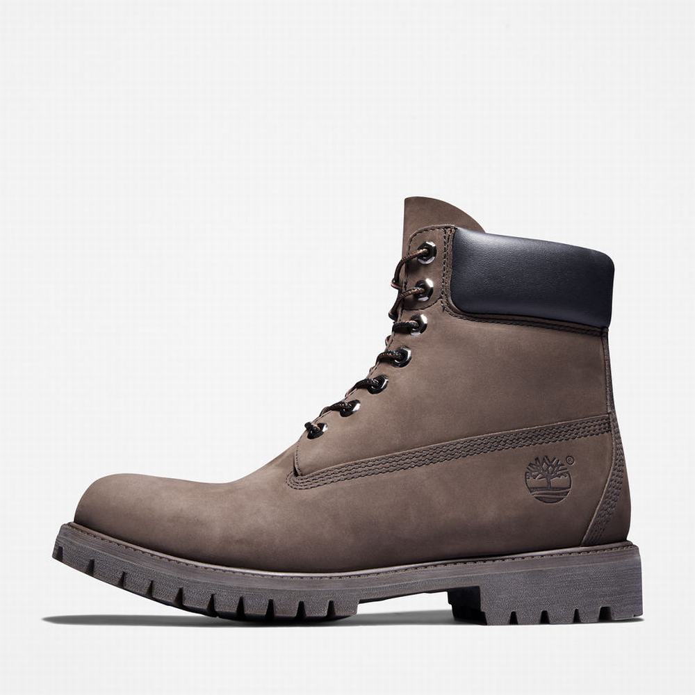 Cizmy Timberland Premium 6 Inch Panske Hnede | TI2591087