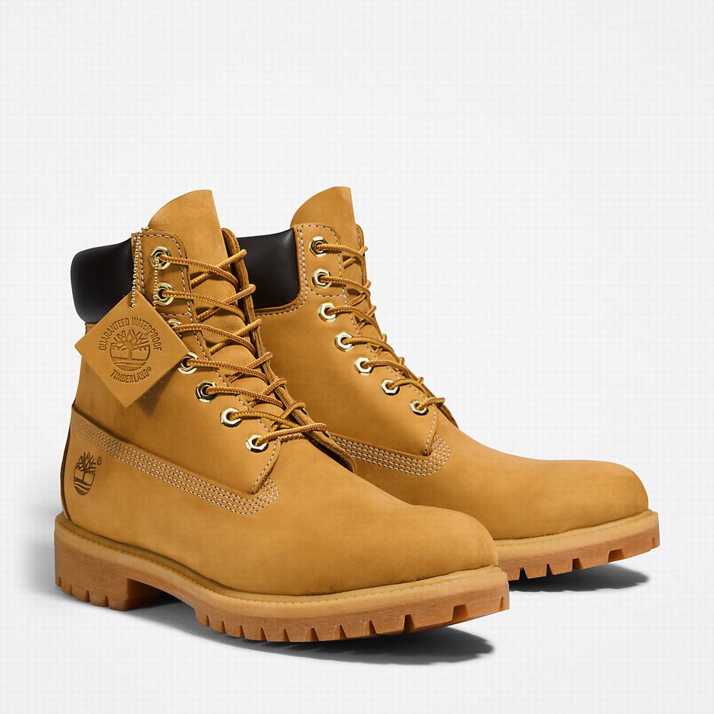 Cizmy Timberland Premium 6 Inch Panske Žlté | OF6325097