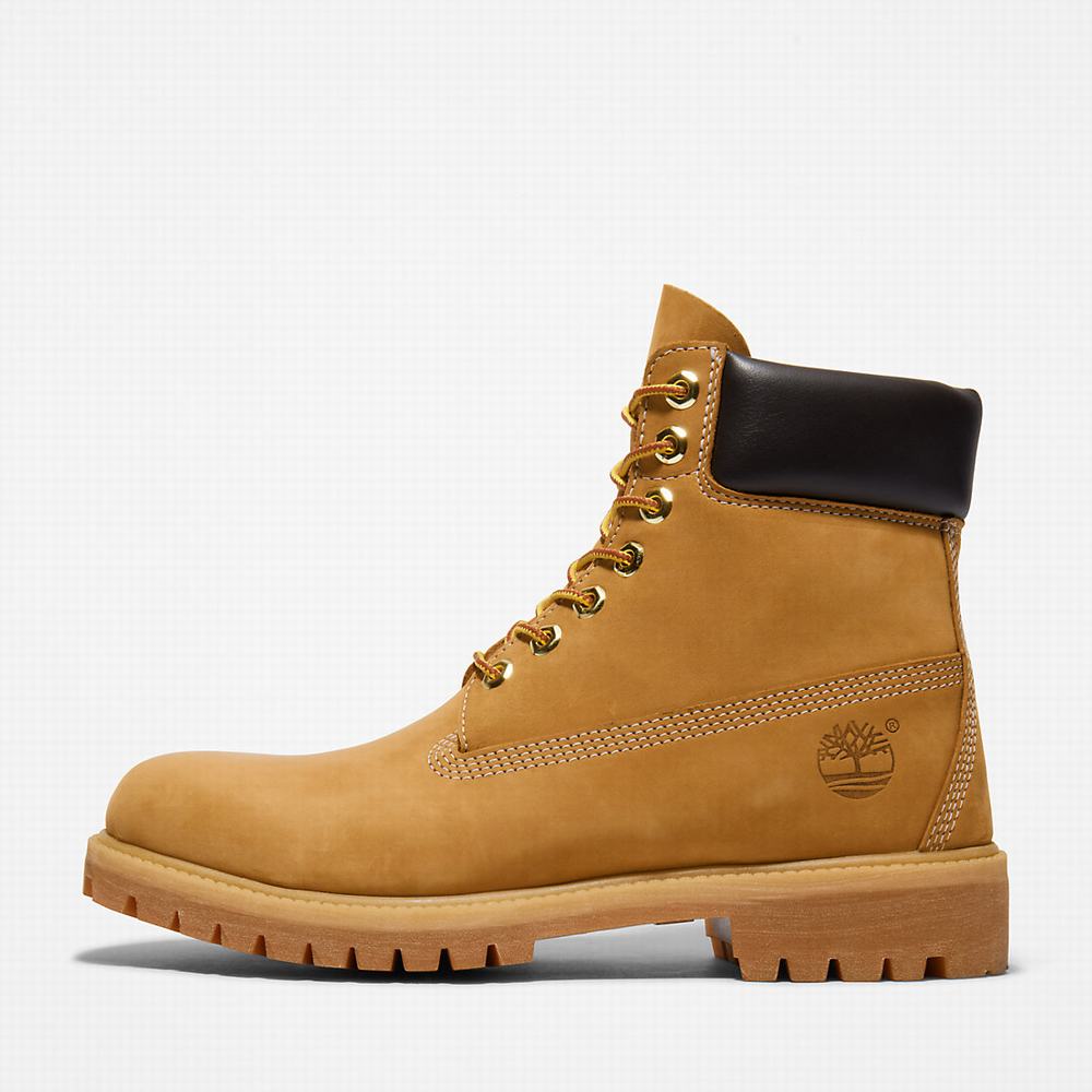 Cizmy Timberland Premium 6 Inch Panske Žlté | OF6325097