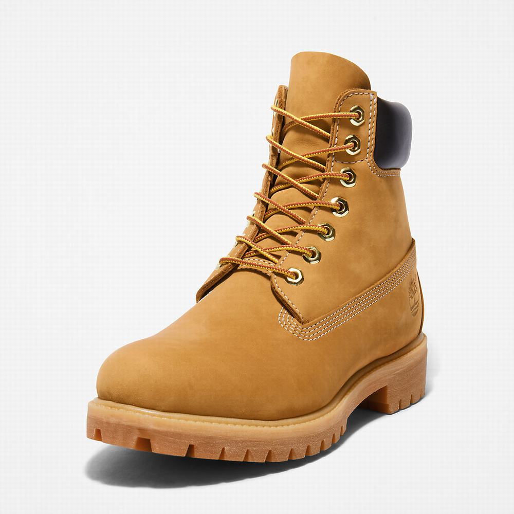 Cizmy Timberland Premium 6 Inch Panske Žlté | OF6325097