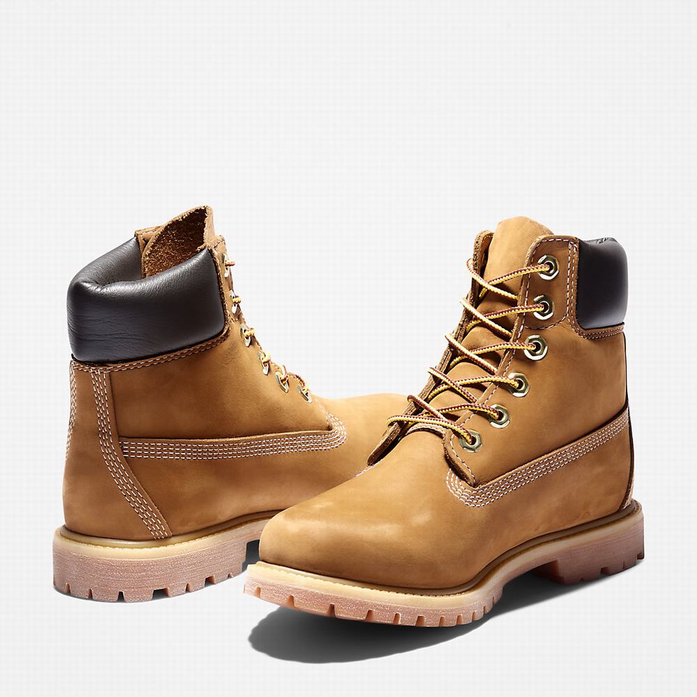 Cizmy Timberland Premium 6-Inch Waterproof Damske Hnede | HT7139204