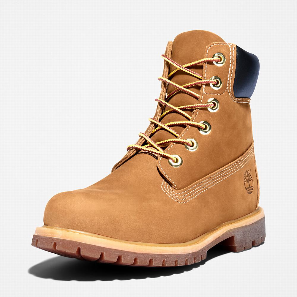 Cizmy Timberland Premium 6-Inch Waterproof Damske Hnede | HT7139204