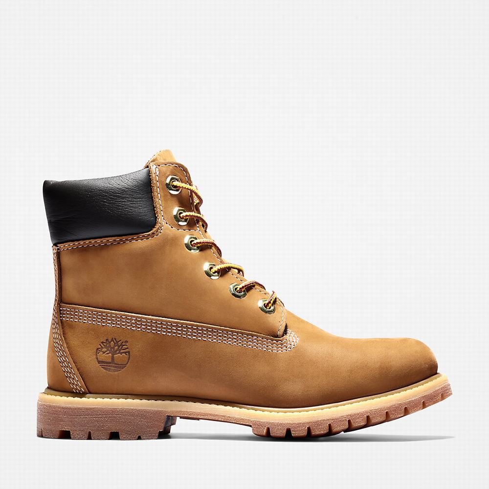 Cizmy Timberland Premium 6-Inch Waterproof Damske Hnede | HT7139204