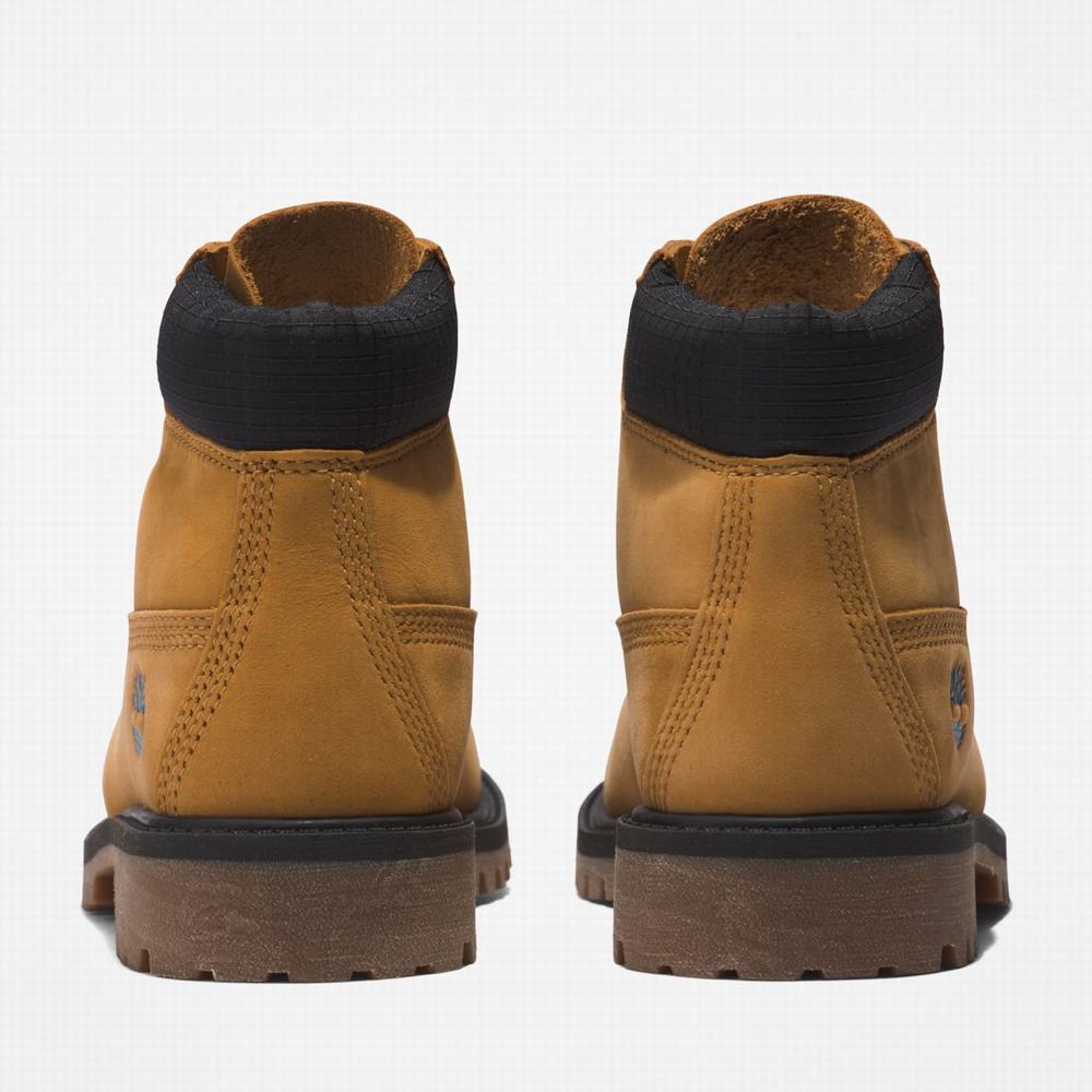 Cizmy Timberland Premium 6-Inch Waterproof Detske Hnede Modre | LD5427910