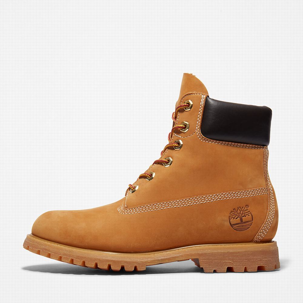 Cizmy Timberland Premium 6-Inch Waterproof Damske Žlté | LH9185462