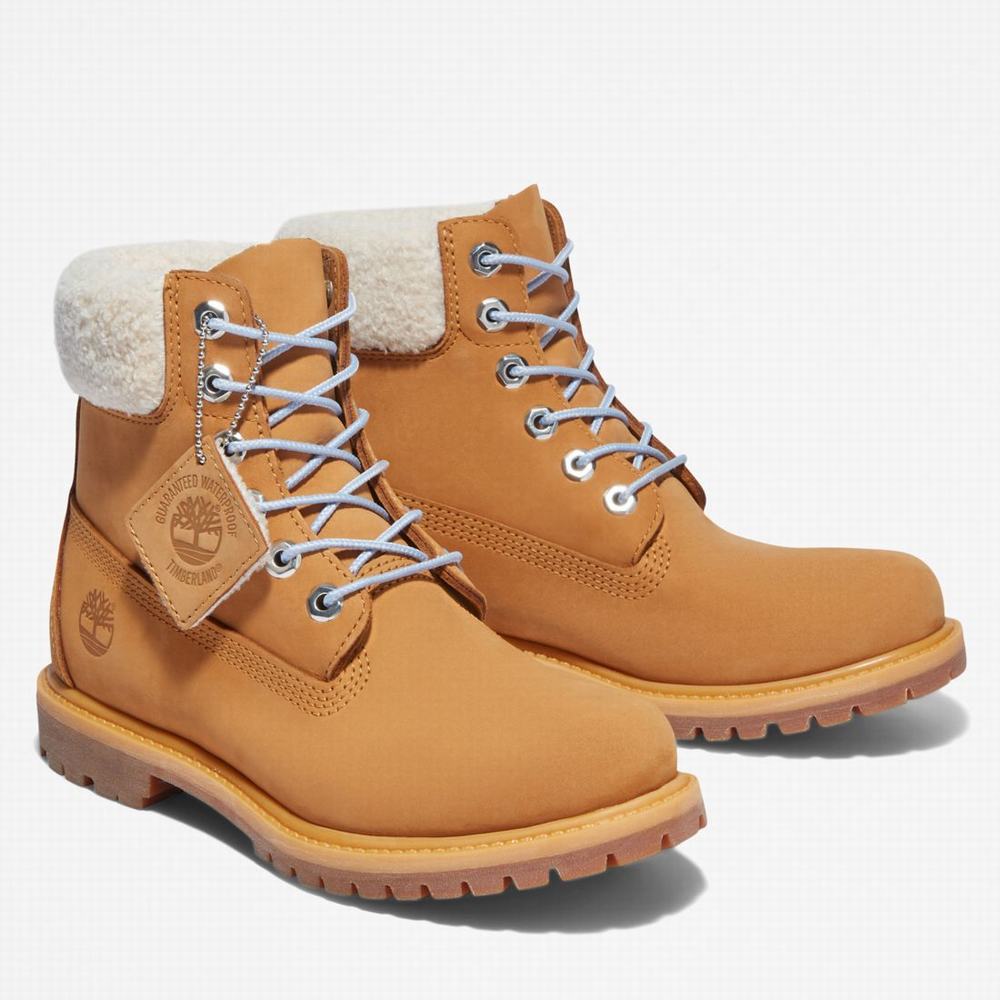 Cizmy Timberland Premium 6-Inch Waterproof Damske Hnede Modre | NV1847952