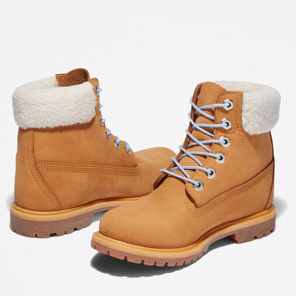 Cizmy Timberland Premium 6-Inch Waterproof Damske Hnede Modre | NV1847952