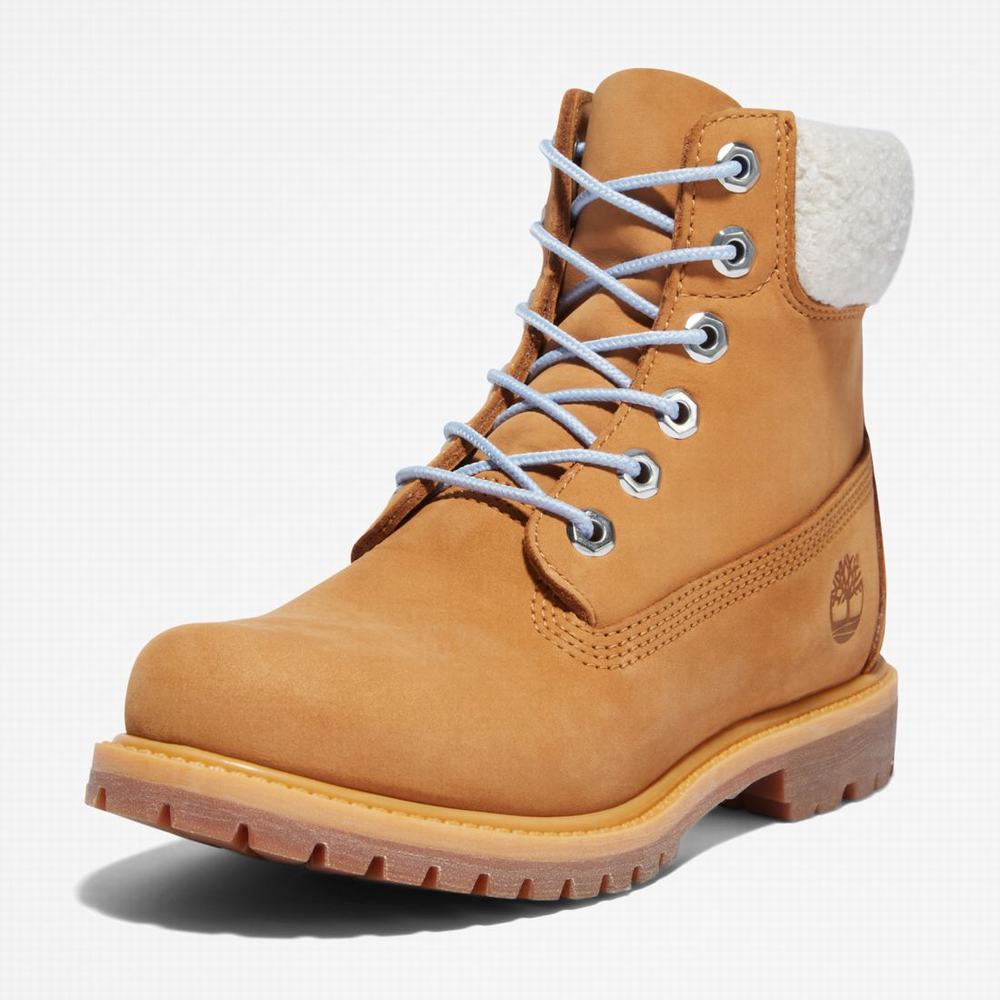 Cizmy Timberland Premium 6-Inch Waterproof Damske Hnede Modre | NV1847952