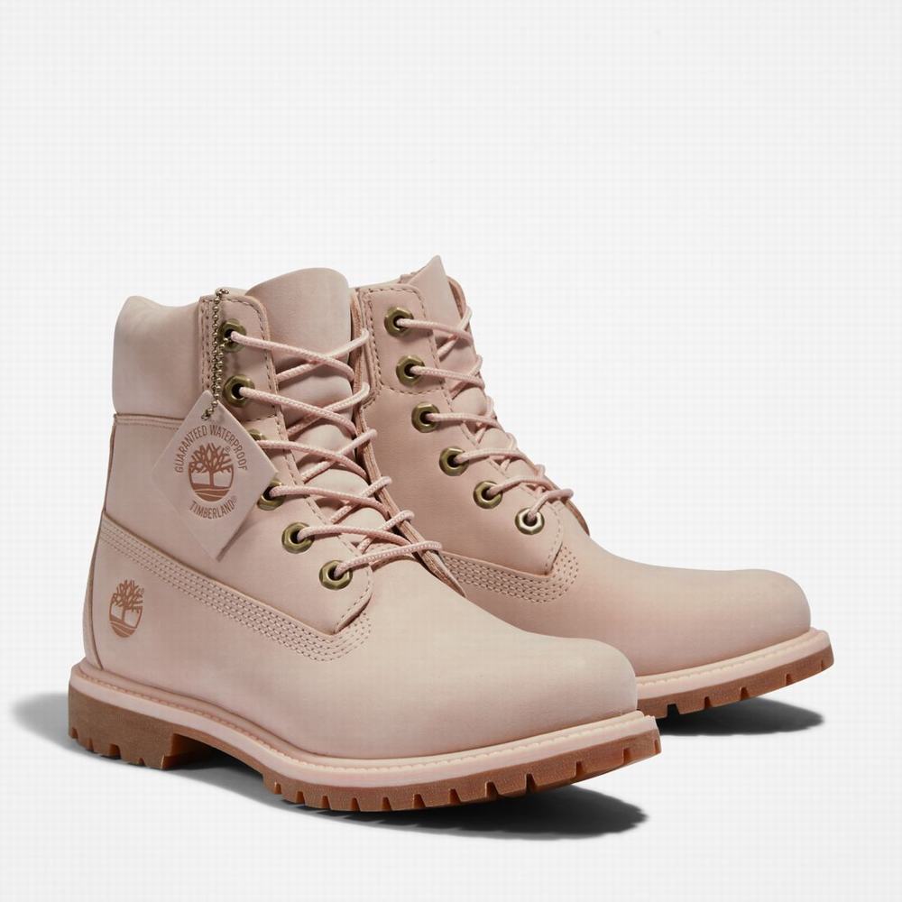 Cizmy Timberland Premium 6-Inch Waterproof Damske Svetlo Ruzove | OB2581637