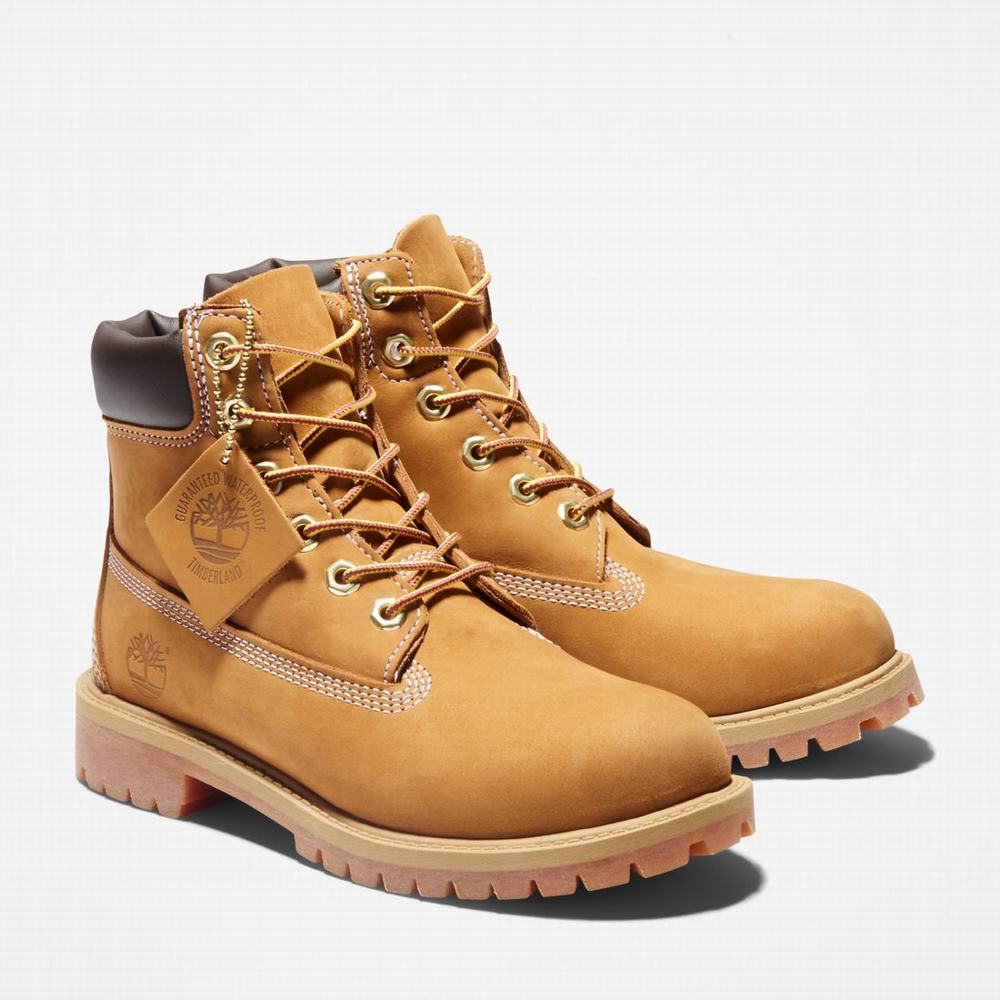 Cizmy Timberland Premium 6-Inch Waterproof Detske Hnede Žlté | PX2987035