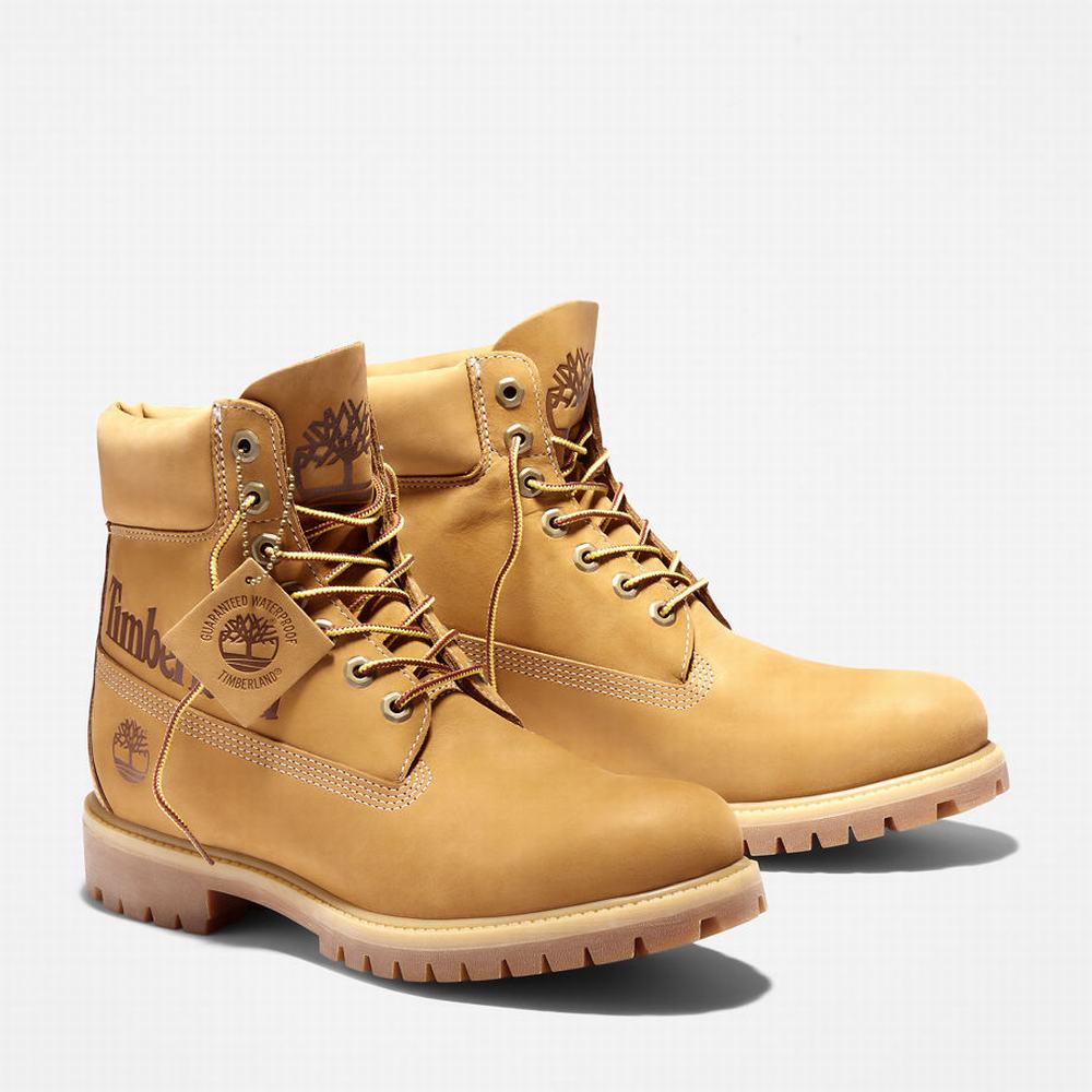 Cizmy Timberland Premium Logo 6 Inch Panske Žlté | PW0479358