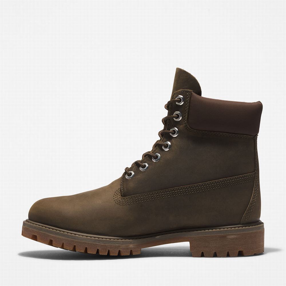 Cizmy Timberland Premium® 6 Inch Panske Zelene | LE8752139