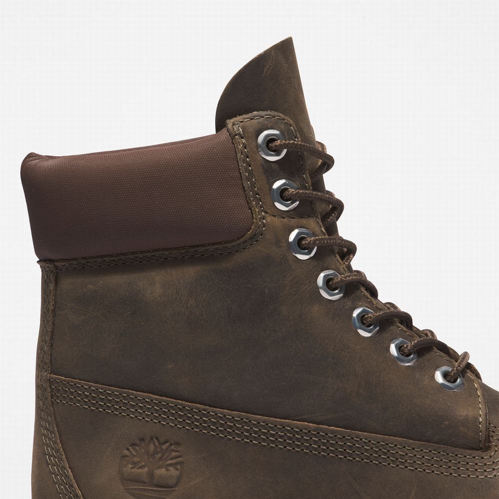 Cizmy Timberland Premium® 6 Inch Panske Zelene | LE8752139