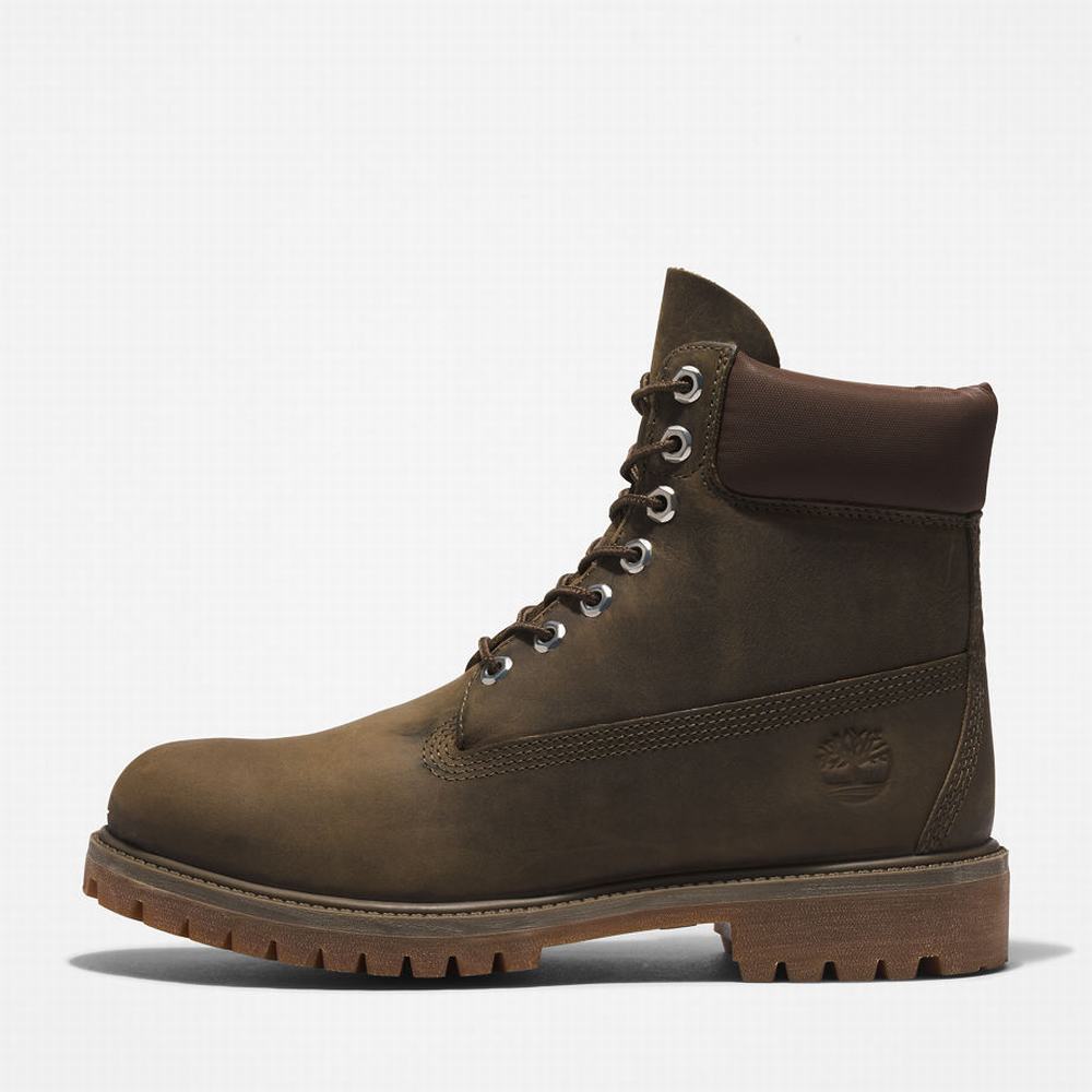 Cizmy Timberland Premium® 6 Inch Panske Zelene | LE8752139