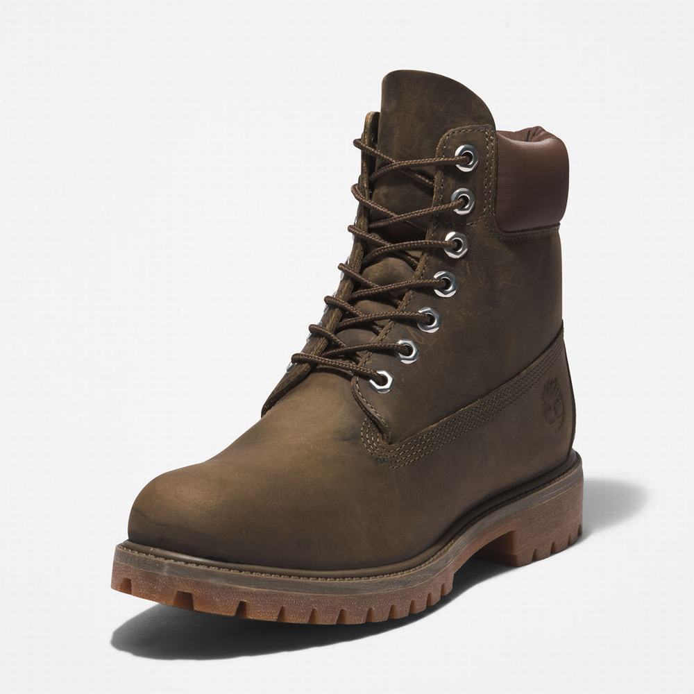 Cizmy Timberland Premium® 6 Inch Panske Zelene | LE8752139