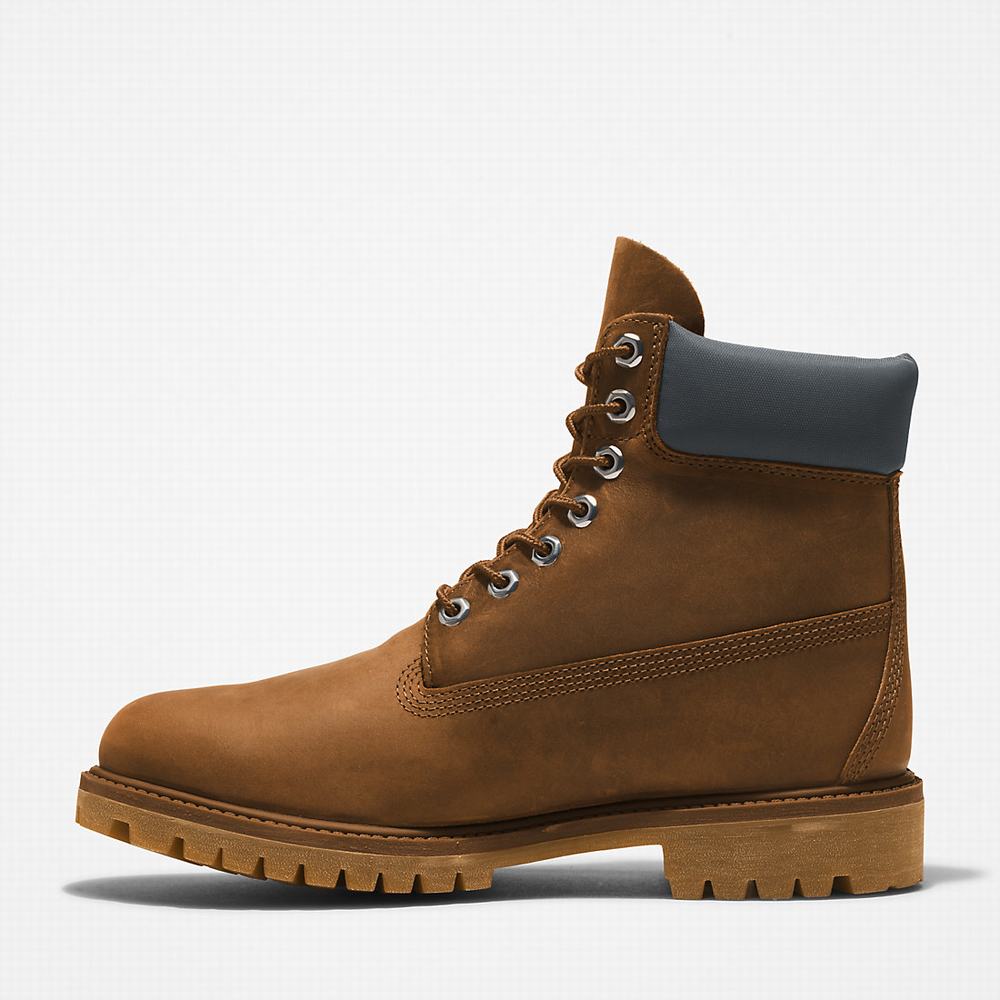 Cizmy Timberland Premium® 6 Inch Panske Hnede | MI0985164