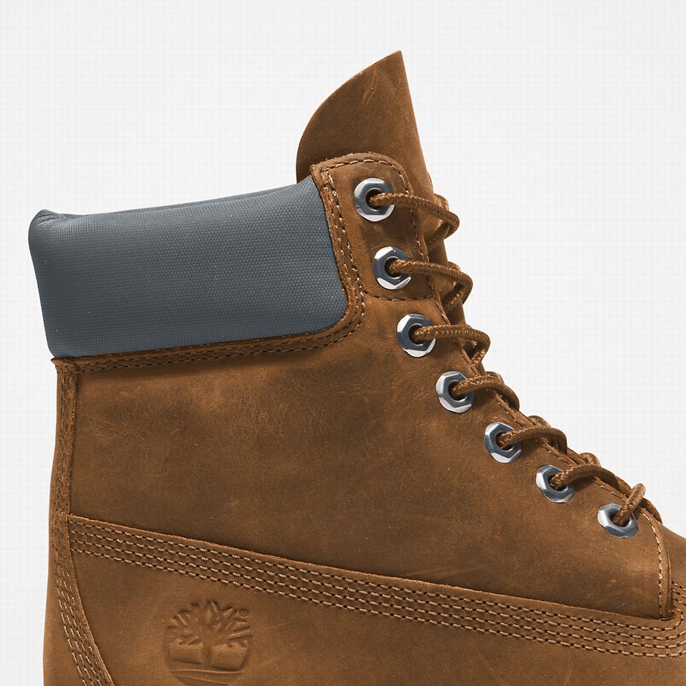 Cizmy Timberland Premium® 6 Inch Panske Hnede | MI0985164