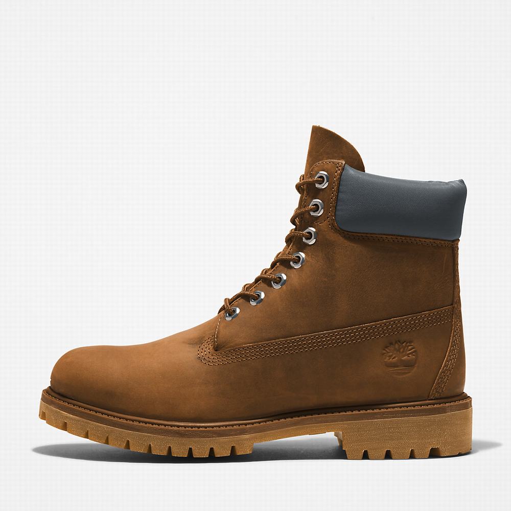 Cizmy Timberland Premium® 6 Inch Panske Hnede | MI0985164