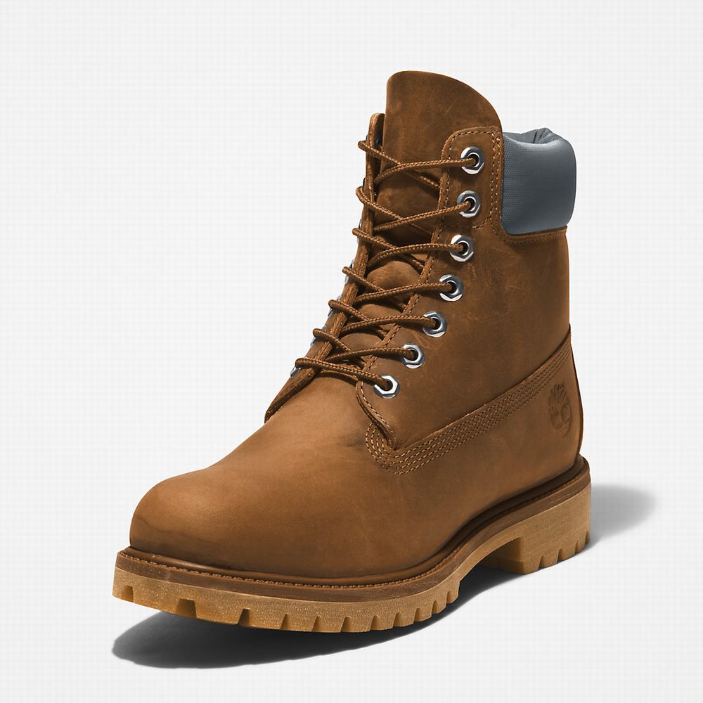 Cizmy Timberland Premium® 6 Inch Panske Hnede | MI0985164