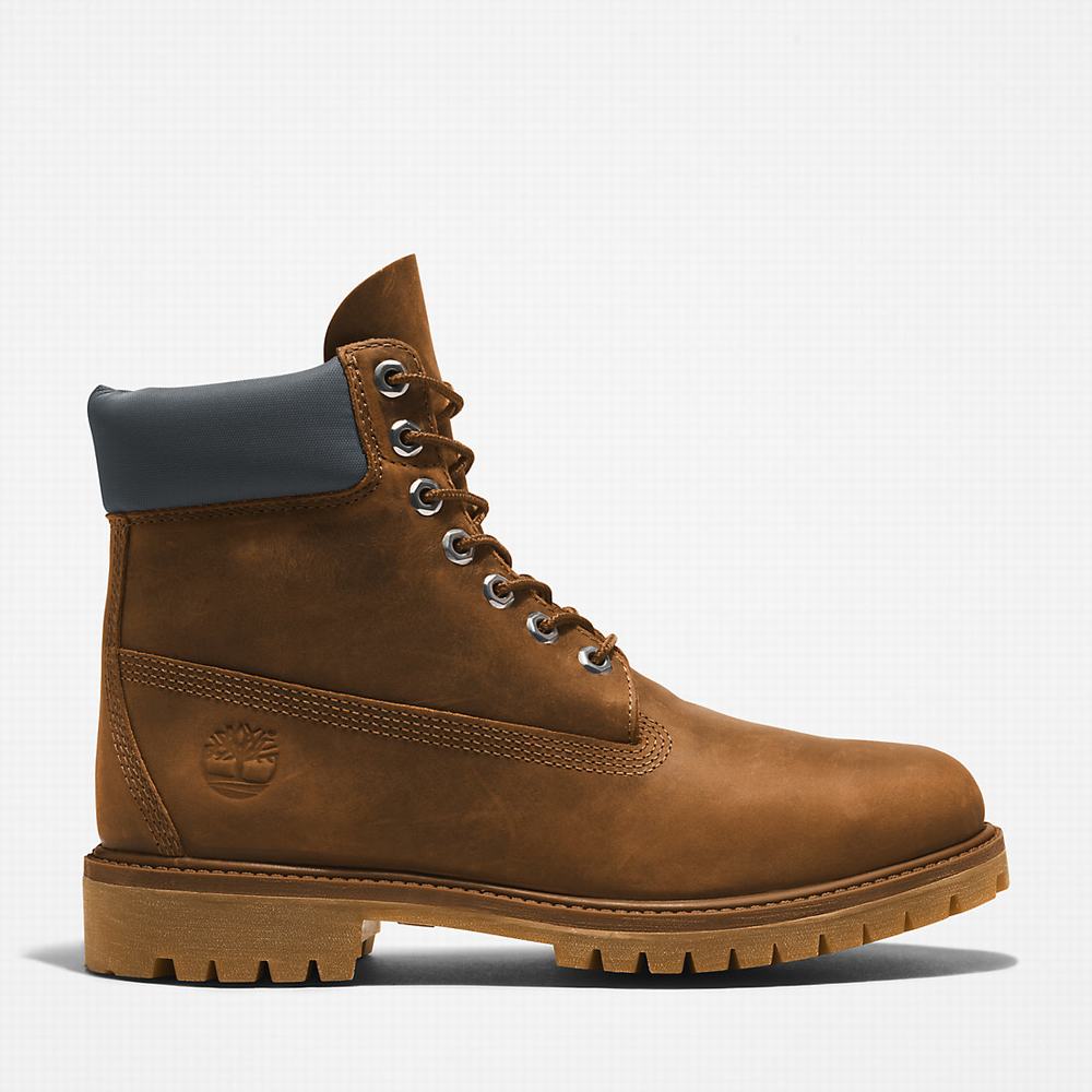 Cizmy Timberland Premium® 6 Inch Panske Hnede | MI0985164