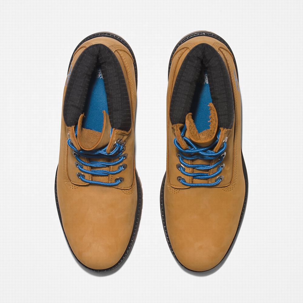 Cizmy Timberland Premium® 6 Inch Panske Svetlo Hnede | OV5374809