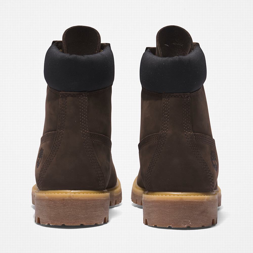 Cizmy Timberland Premium® 6 Inch Panske Tmavo Hnede | QJ0572139