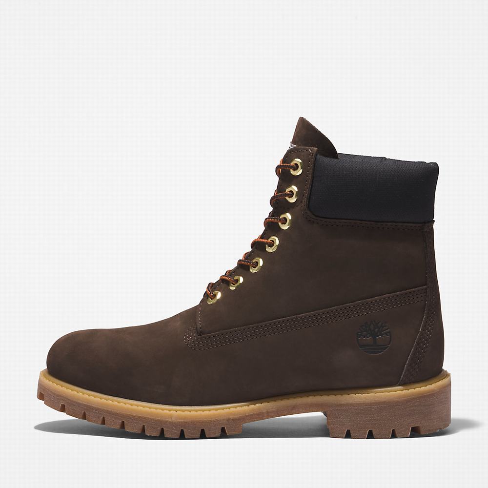 Cizmy Timberland Premium® 6 Inch Panske Tmavo Hnede | QJ0572139