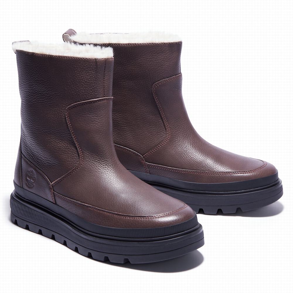 Cizmy Timberland Ray City Warm-lined Damske Tmavo Hnede | QR5072891