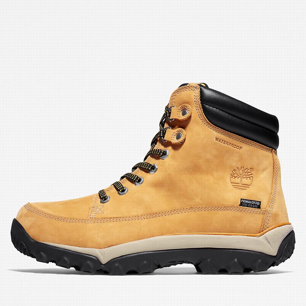 Cizmy Timberland Rime Ridge Mid Panske Žlté | IU7809614