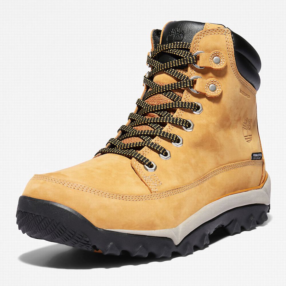 Cizmy Timberland Rime Ridge Mid Panske Žlté | IU7809614