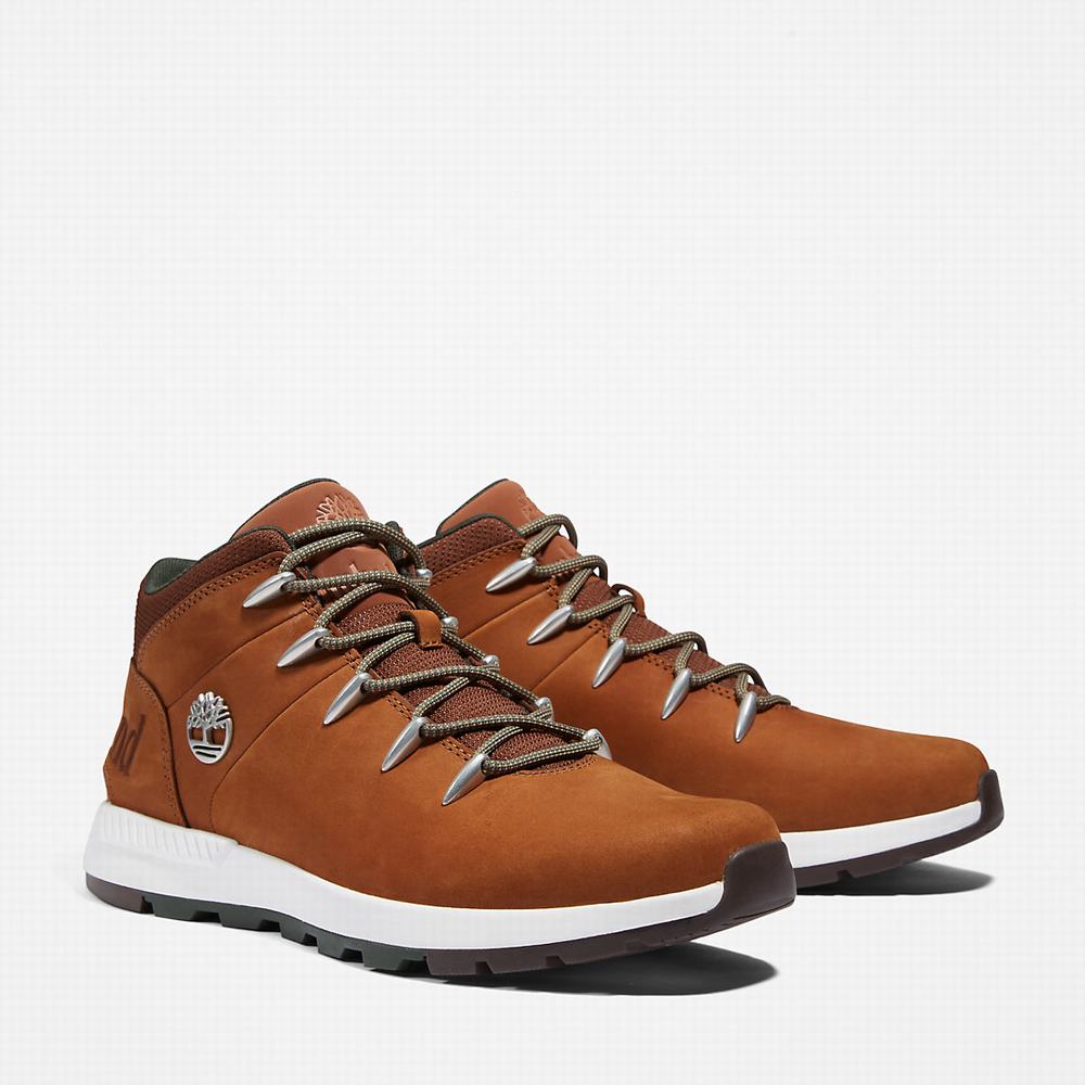 Cizmy Timberland Sprint Trekker Chukka Panske Hnede | FB4812507