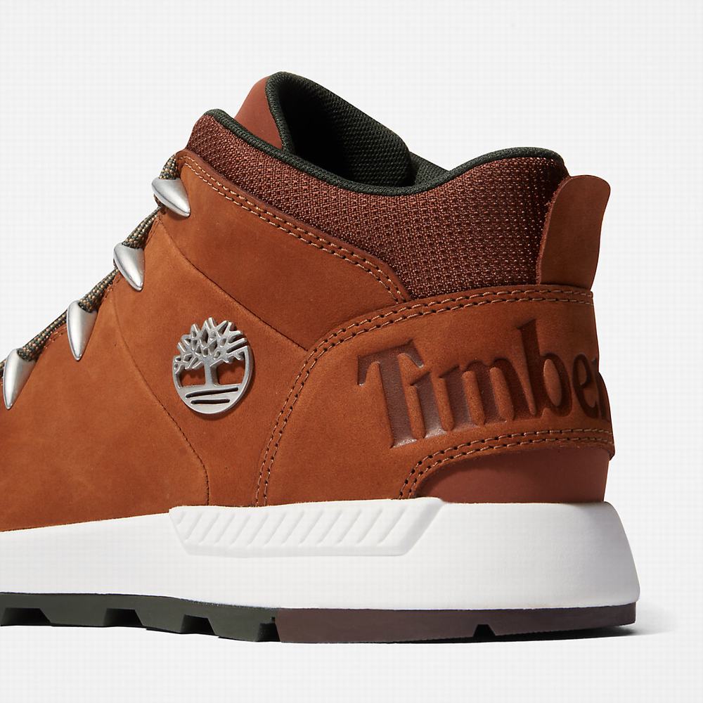 Cizmy Timberland Sprint Trekker Chukka Panske Hnede | FB4812507