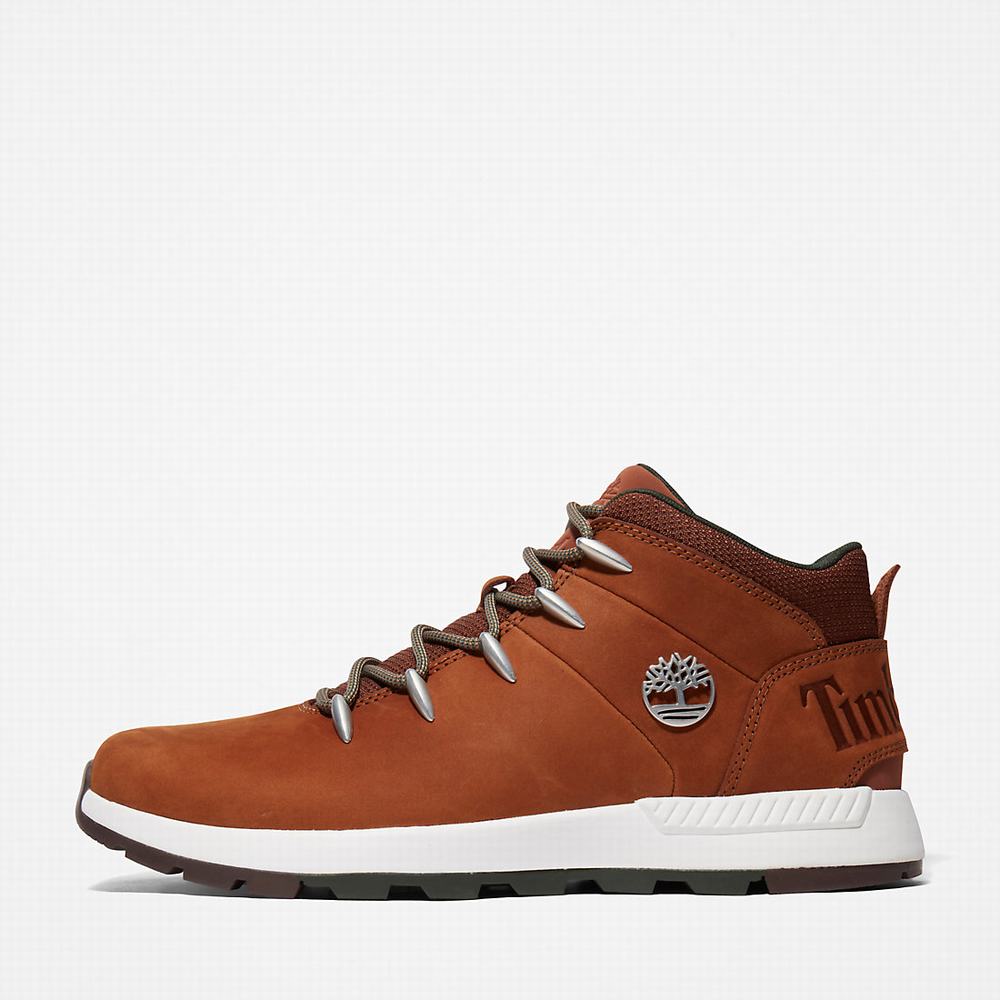 Cizmy Timberland Sprint Trekker Chukka Panske Hnede | FB4812507