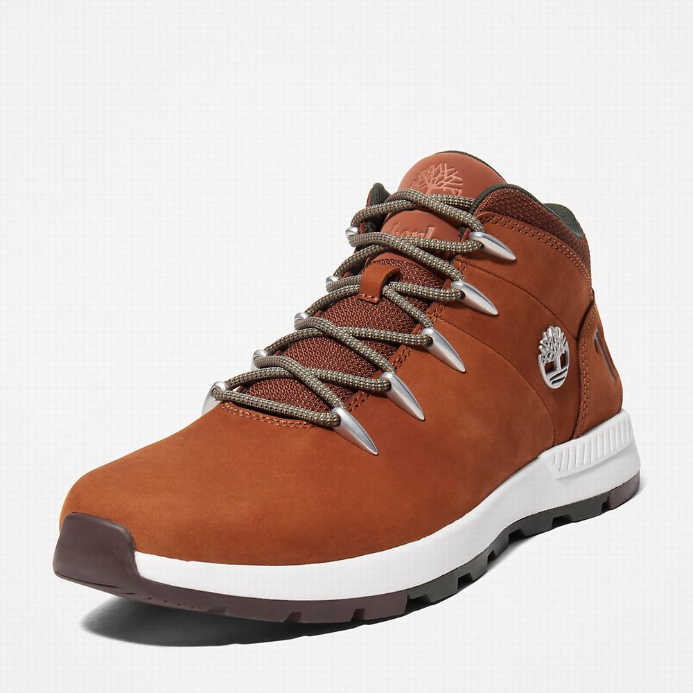 Cizmy Timberland Sprint Trekker Chukka Panske Hnede | FB4812507