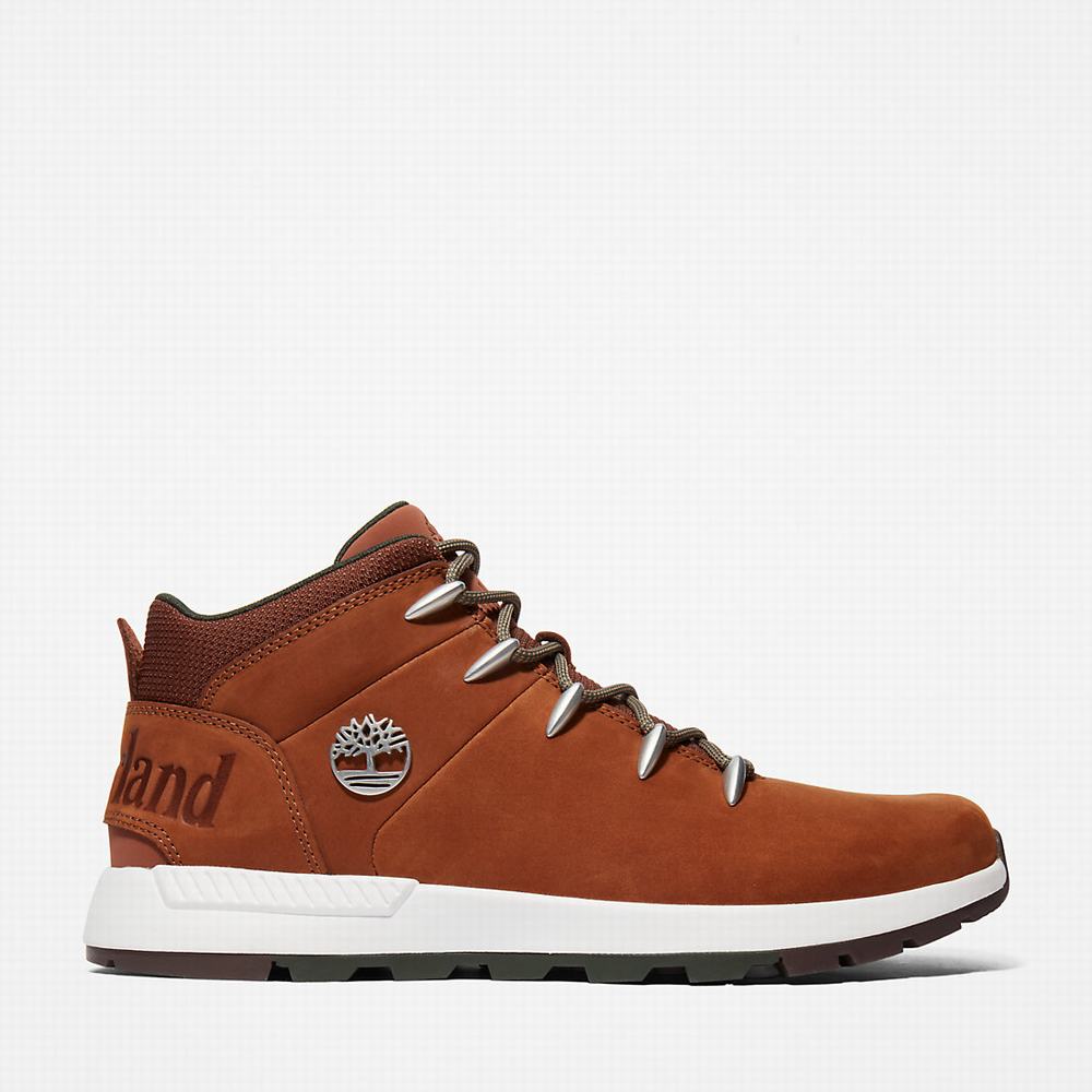 Cizmy Timberland Sprint Trekker Chukka Panske Hnede | FB4812507