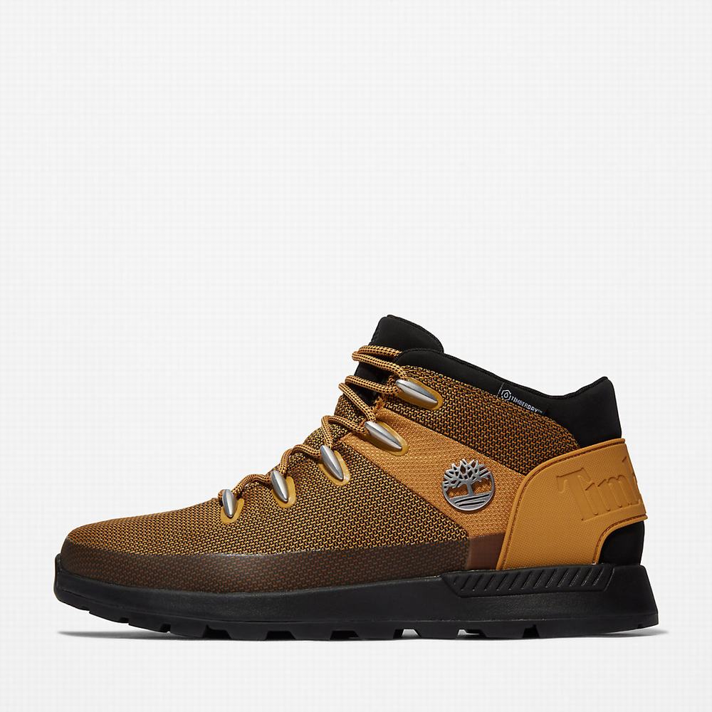 Cizmy Timberland Sprint Trekker Chukka Panske Žlté | TC5270136