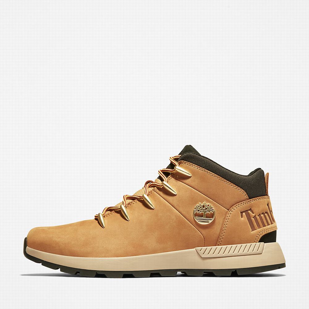 Cizmy Timberland Sprint Trekker Chukka Panske Žlté | UQ3156298