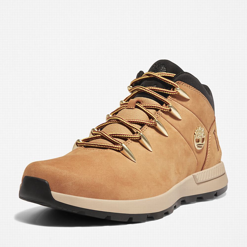 Cizmy Timberland Sprint Trekker Chukka Panske Žlté | UQ3156298